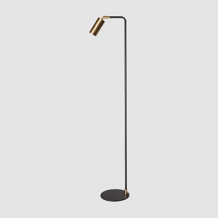 Minimalist Home LED Standing Lamp- Modern LED Floor Lamp- Babis